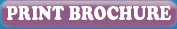 Print Brochure